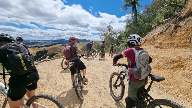 Whakarewarewa Forest Loop
