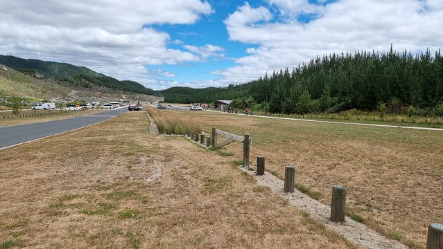 Whakarewarewa Forest Loop