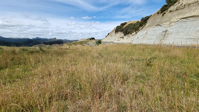 Geology on display Bravo - SH4 on the way to Whanganui