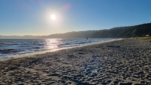 Petone foreshore