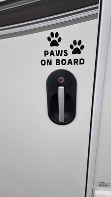 Paws on board!