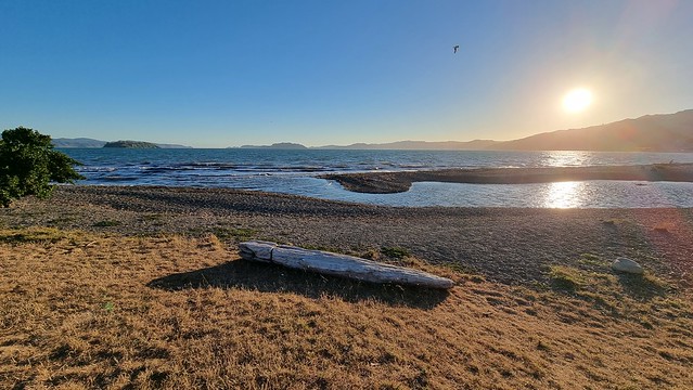 Petone foreshore