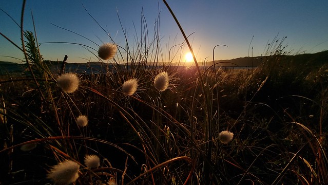 Petone foreshore sunset