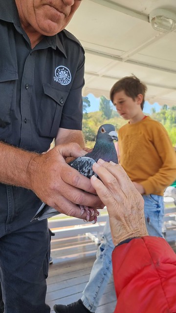 Waimarie Mail System