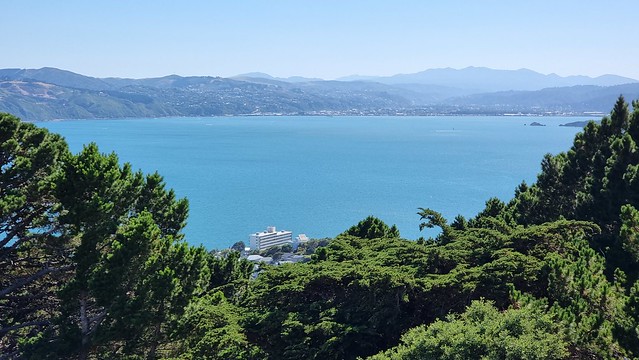 Petone from Mount Victoria