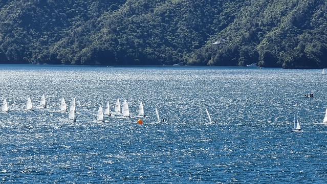 Laser Championship Queen Charlotte Sound