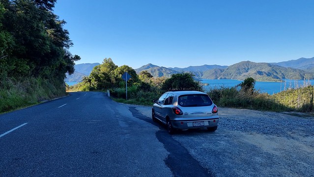 Bravo on Queen Charlotte Sound Rd