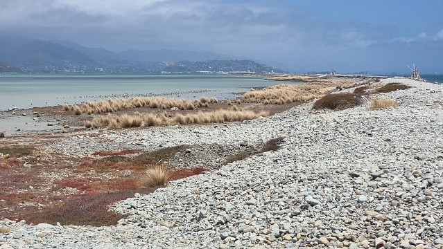 Boulder Bank Scenic Reserve & Nelson