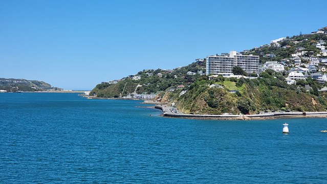 Bluebridge Ferry Roseneath & Rongotai
