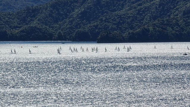 Laser Championship Queen Charlotte Sound