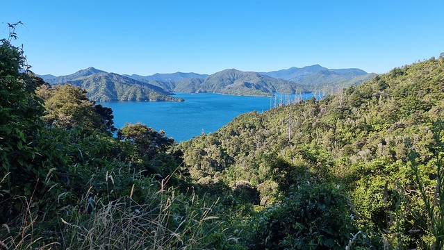 Queen Charlotte Sound