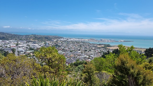 Botanical Hill view of Nelson CBD