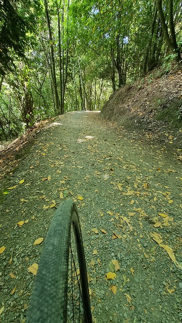 30mm Schwalbe G-One Speed tyres good on gravel & seal