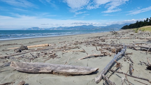 Rabbit Island swim time