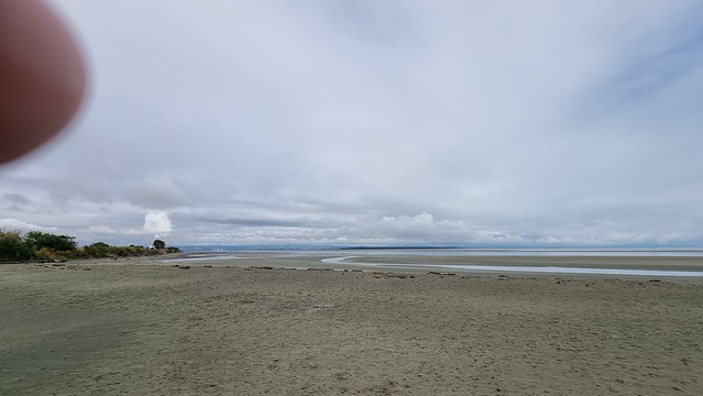 Steam from the pine mill and my finger