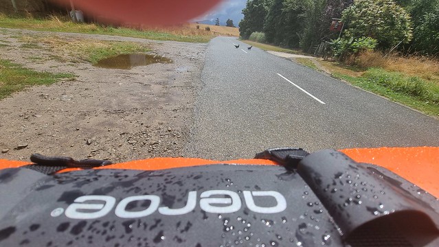 Dovedale Rd rush hour