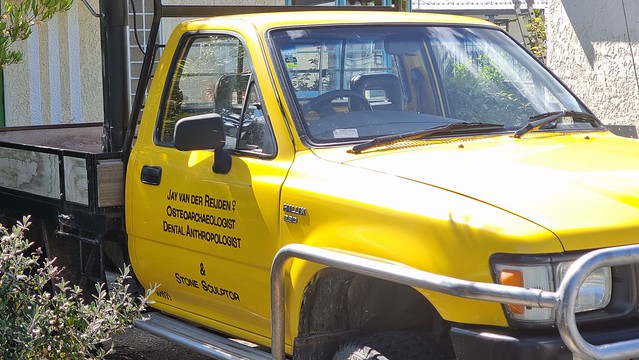 Dental Anthropologist?