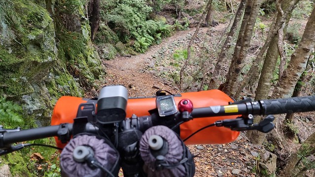 The only rough part so far