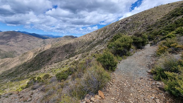 Looking back to Windy Point