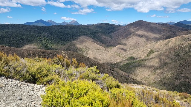 Looking inland from Windy Point