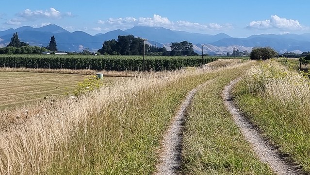 Great Taste Trail evening