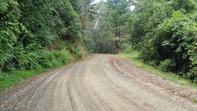 Pigeon Valley Rd