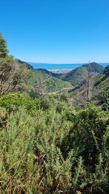 Bullok Spur (Elev. 305m) back to Nelson