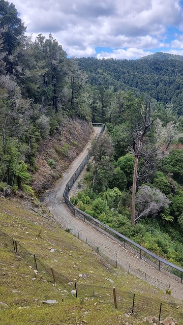 Predator Fence protects native wildlife