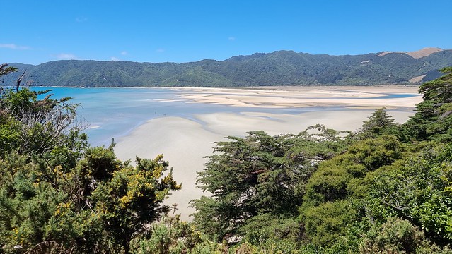Wainui Bay view