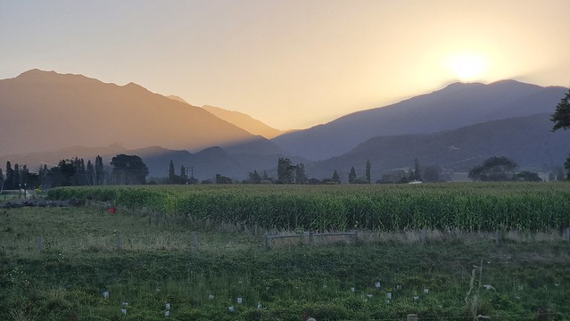 Tākaka evening glow