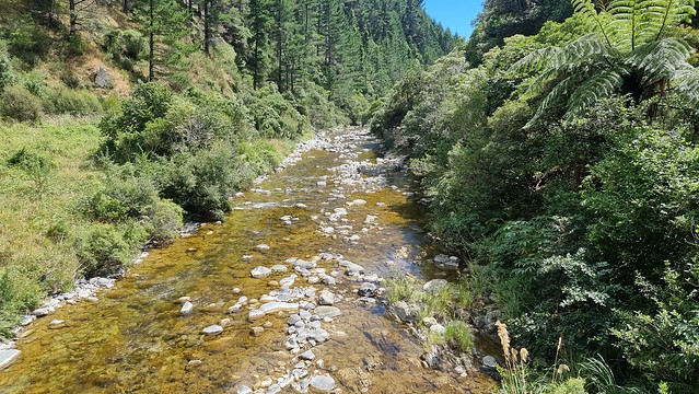 Maitai River