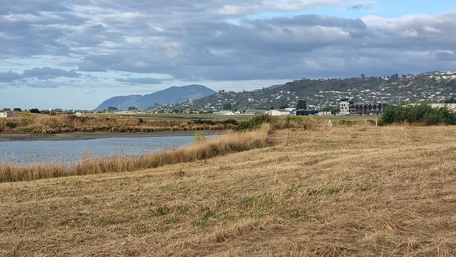 Nelson Airport