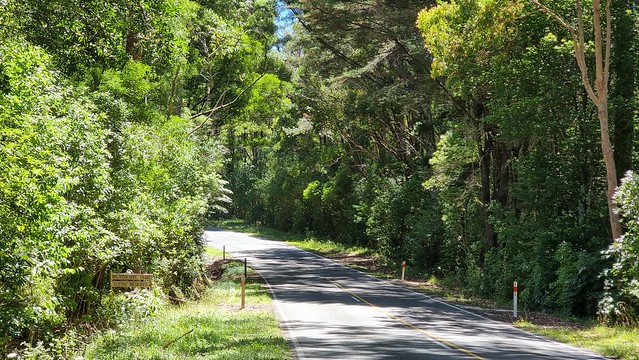 SH60 through Milnthorpe Park