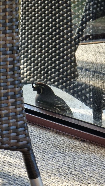 Not entirely private! The Rocks Chalets | Tākaka