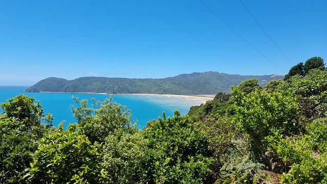 Wainui Bay view