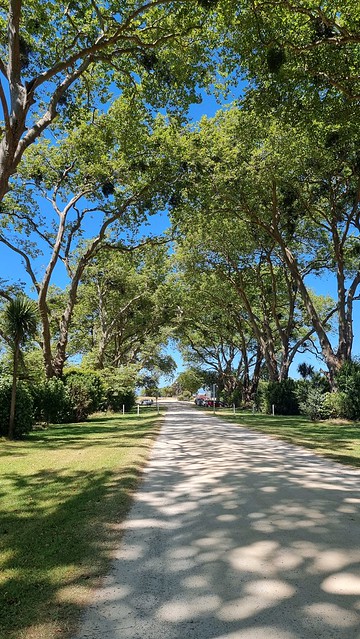 Totaranui Beach entry