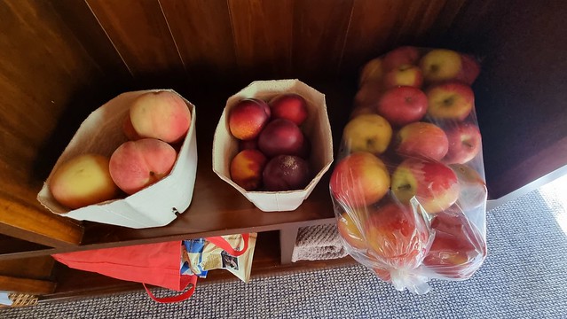 Riwaka orchard fruit