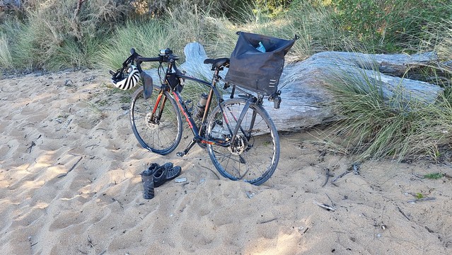Totaranui Beach swim time