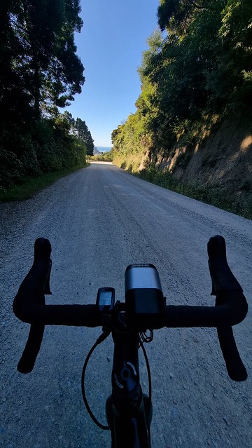 Into the evening light