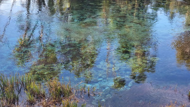 Te Waikoropupū Springs