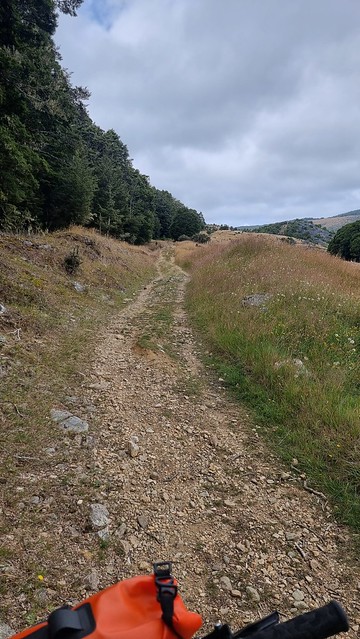 Rameka Trail | Tākaka Hill