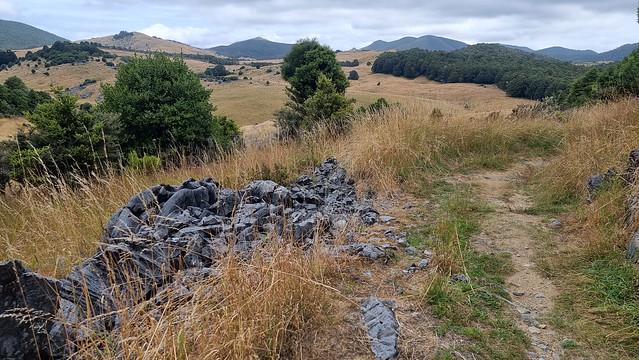 Rameka Trail | Tākaka Hill