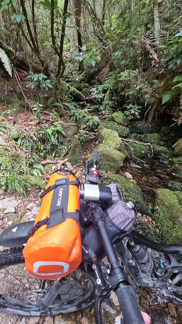 Rameka Trail | Tākaka Hill