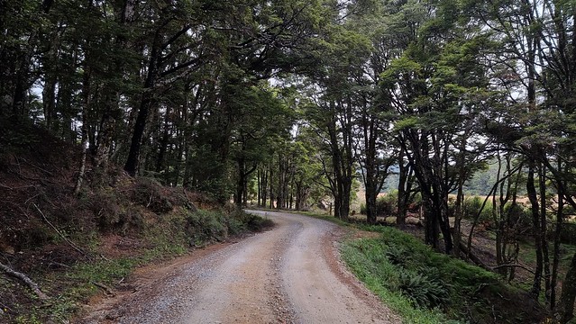 Canaan Downs Scenic Reserve | Tākaka Hill