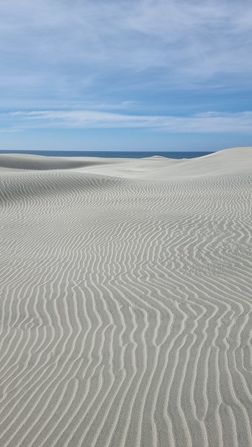 Farewell Spit sand waves