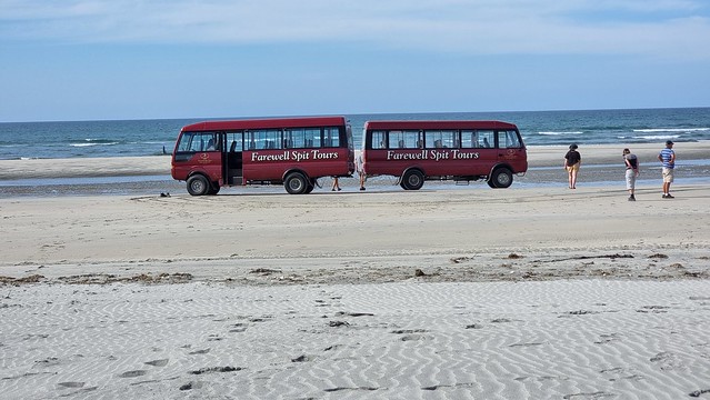 Back to Back Bus Stop
