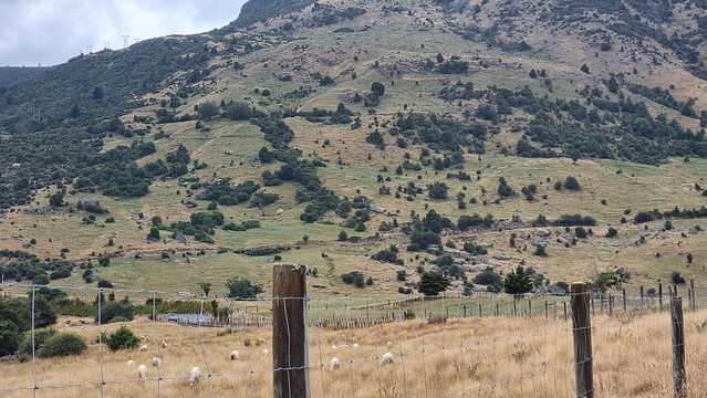 Zig zags up | Tākaka Hill Road
