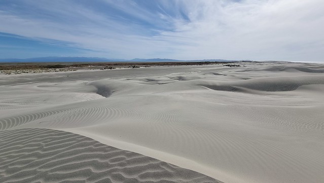 Farewell Spit Dunes