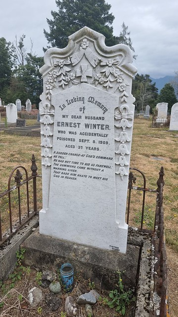 Accidentally poisoned?