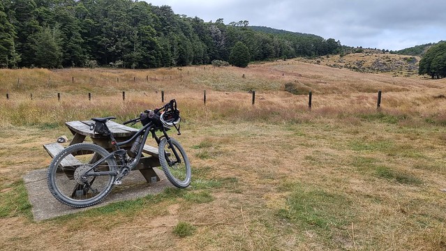 Canaan Downs Scenic Reserve | Tākaka Hill